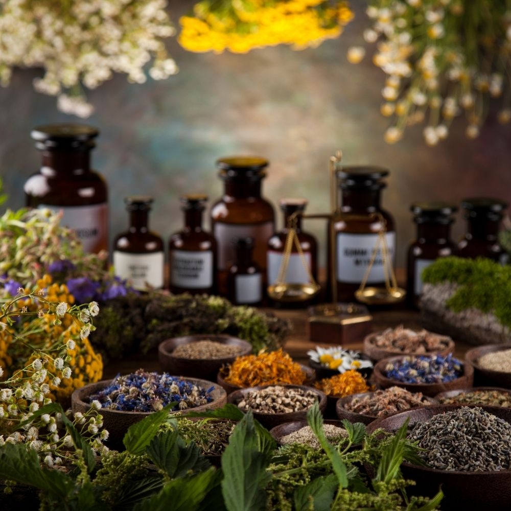 AromaFachseminar Aromamedizin online